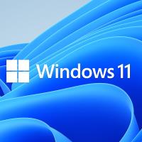 MICROSOFT WINDOWS 11 PRO FQC-10556 64Bit (OEM) Türkçe